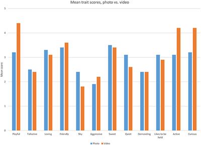 Perception of Cats: Assessing the Differences Between Videos and Still Pictures on Adoptability and Associated Characteristics